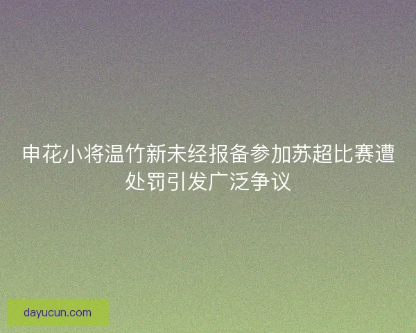 申花小将温竹新未经报备参加苏超比赛遭处罚引发广泛争议
