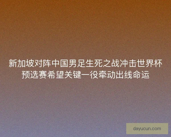 新加坡对阵中国男足生死之战冲击世界杯预选赛希望关键一役牵动出线命运