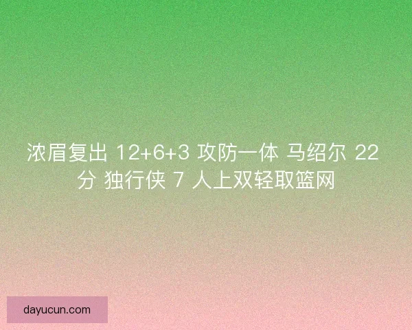 浓眉复出 12+6+3 攻防一体 马绍尔 22 分 独行侠 7 人上双轻取篮网